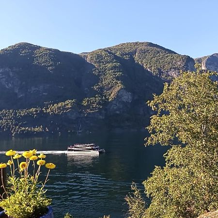 Otnes Sor Apartment Aurland Bagian luar foto