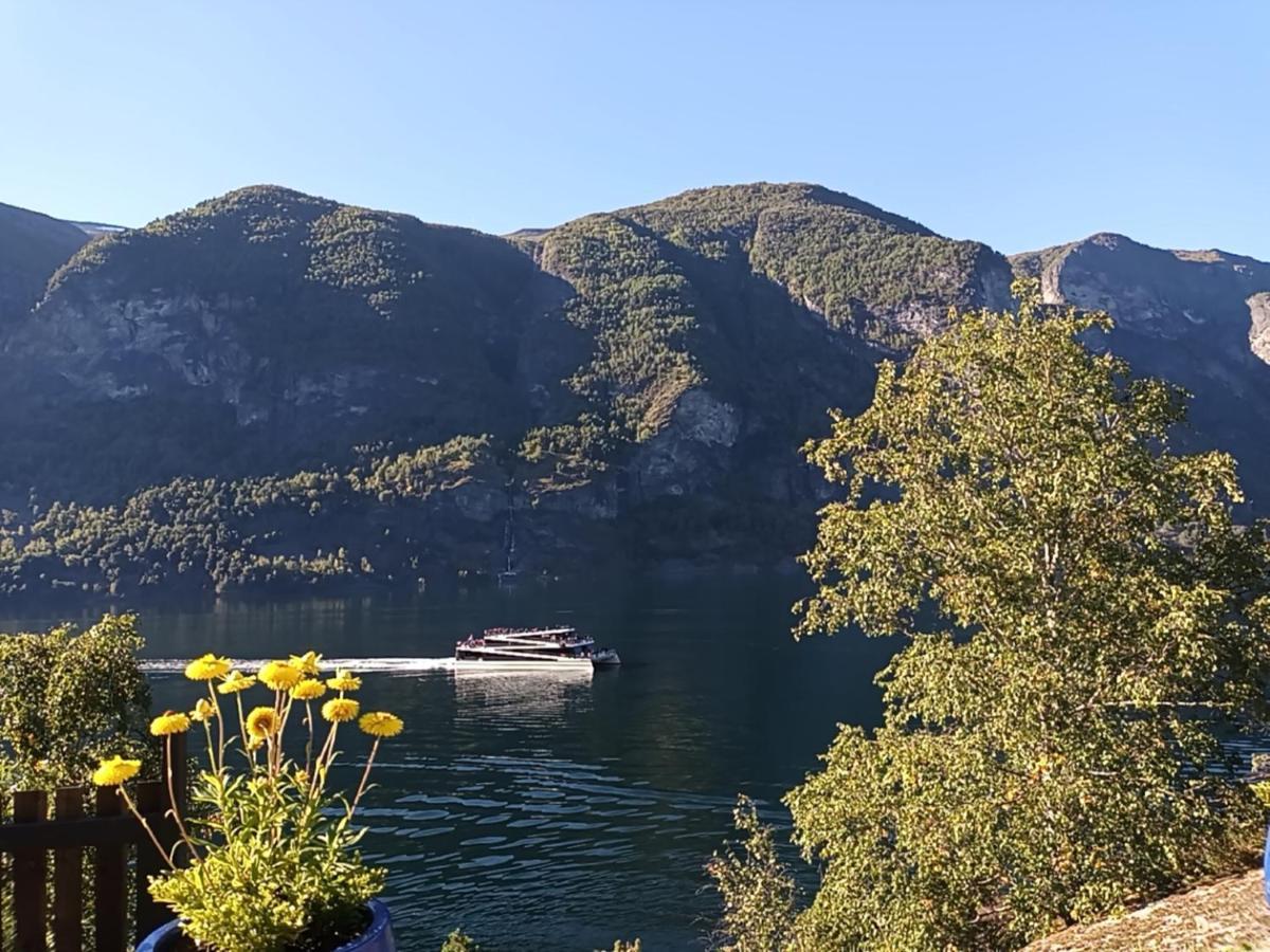 Otnes Sor Apartment Aurland Bagian luar foto